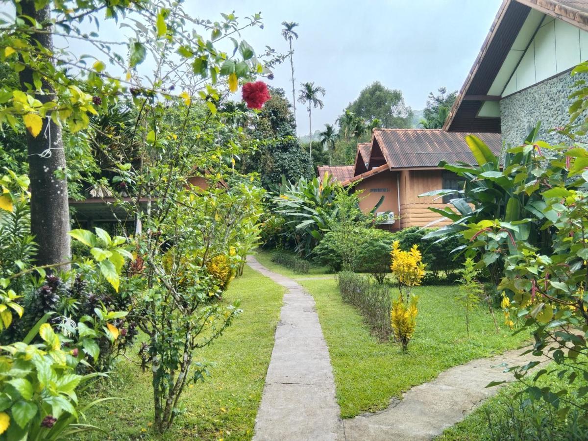 Khao Sok River & Jungle Resort Khao Sok National Park Esterno foto